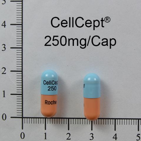 商品名:Cellcept Capsules 250mg<br>中文名:山喜多膠囊250毫克