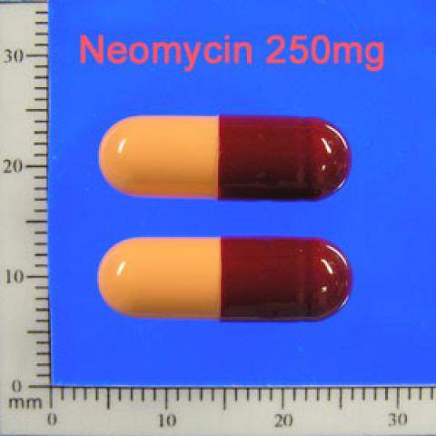 商品名:Neomycin<br>中文名:紐奧黴素膠囊250公絲
