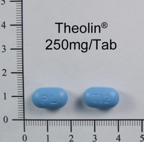 商品名:Theolin S.R. Tablets  250mg<br>中文名:息寧緩釋錠 